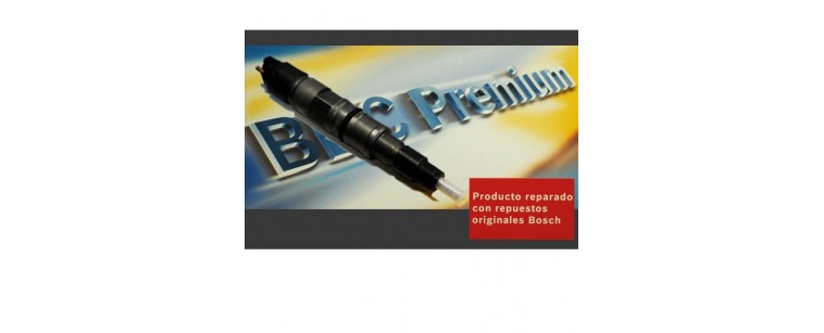 Comprobacion y Reparacion de los inyector-bomba (fotos) - m